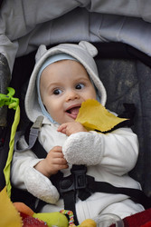 Similar image 22350698