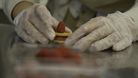 Similar image 22371029