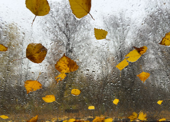 Similar image 22359684