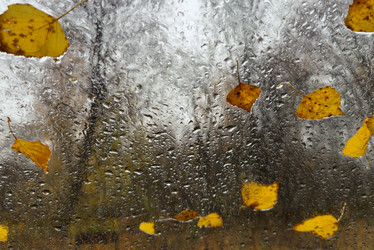 Similar image 22359685