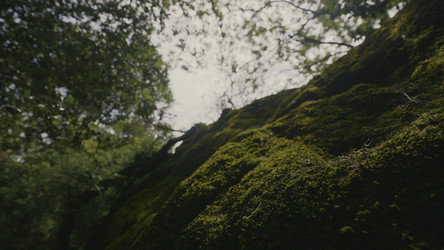 Similar image 22371030