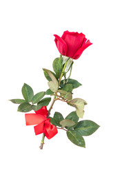 Similar image 22364839