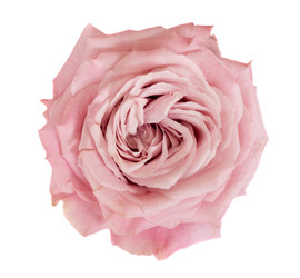 Similar image 22364840