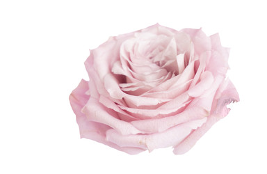 Similar image 22364855