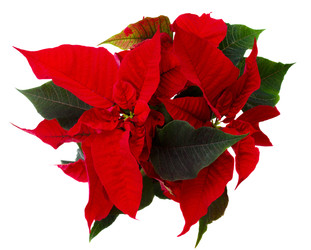 Similar image 22364856