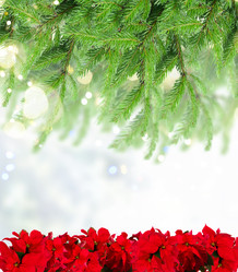 Similar image 22364960