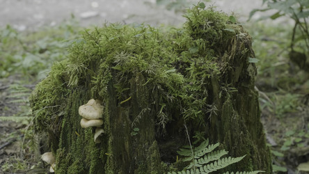 Similar image 22370698