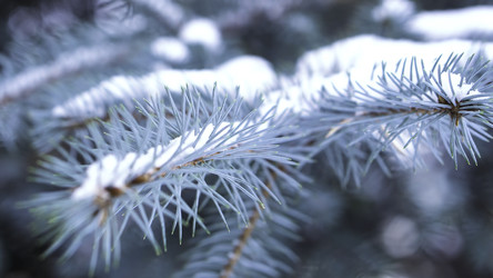 Similar image 22371086