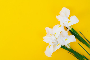 Similar image 22364692