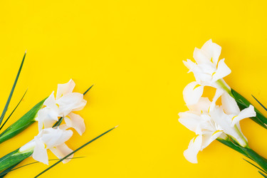 Similar image 22364719