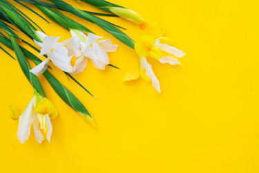 Similar image 22364720