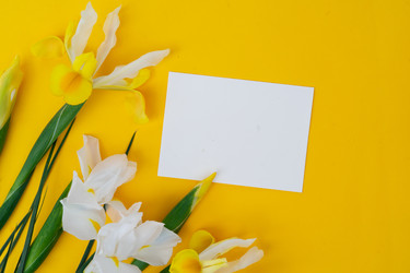 Similar image 22364752