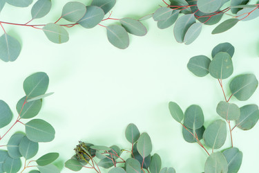 Similar image 22364919