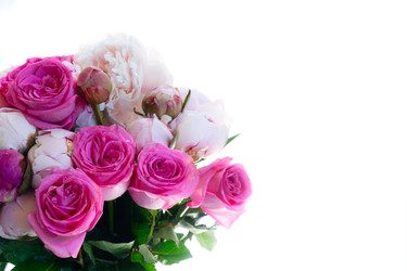 Similar image 22353556