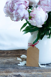 Similar image 22364828