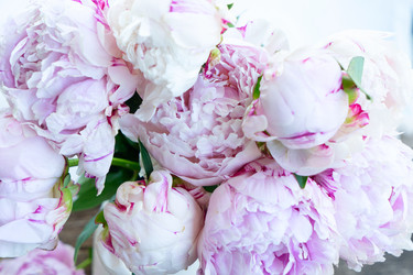 Similar image 22364829