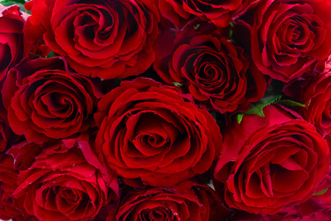 Similar image 22364875