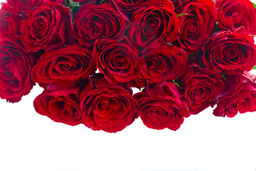 Similar image 22364890