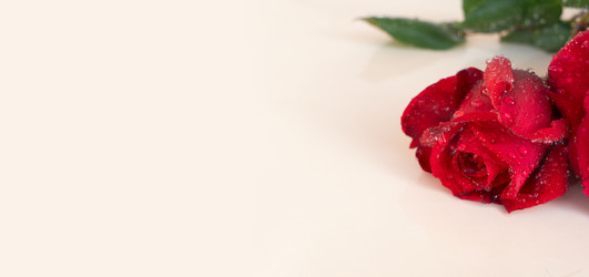 Similar image 22364965