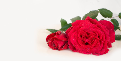 Similar image 22364966