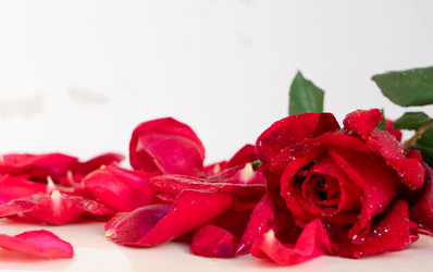 Similar image 22350025