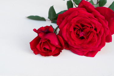 Similar image 22351649