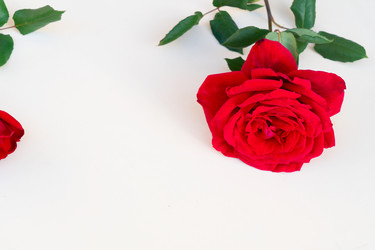 Similar image 22351655