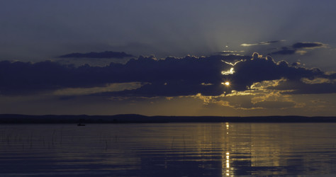 Similar image 22370999