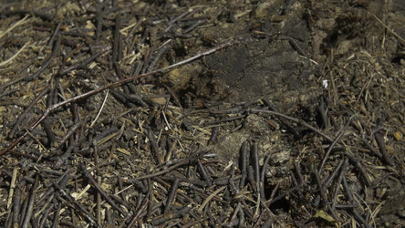 Similar image 22370970