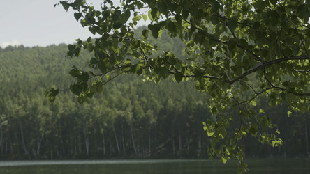 Similar image 22370628