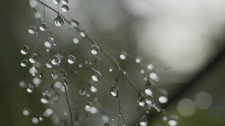 Similar image 22370896