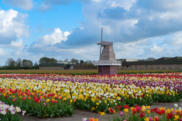 Similar image 22353641