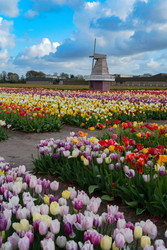 Similar image 22353650