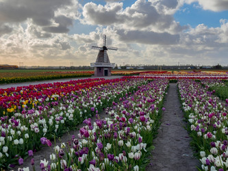 Similar image 22353757