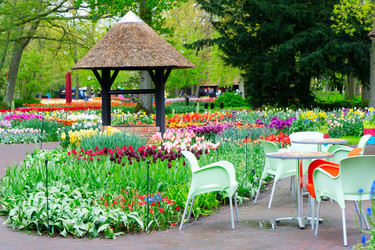 Similar image 22353776