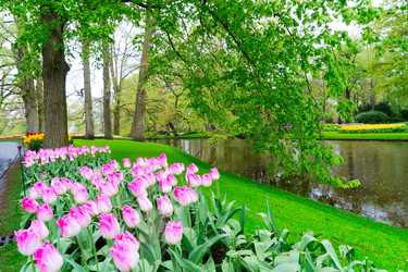 Similar image 22353779