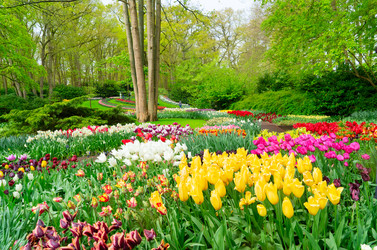 Similar image 22353785