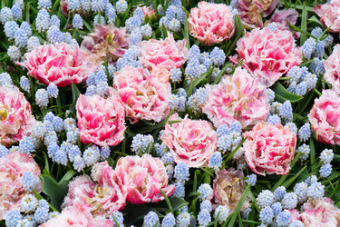 Similar image 22353797