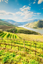 Similar image 22364392