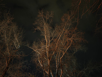 Similar image 22350944