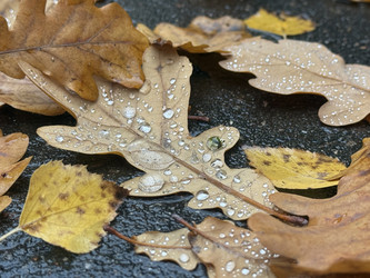 Similar image 22351285