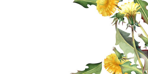 Similar image 22374162