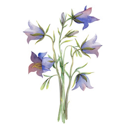 Similar image 22374177