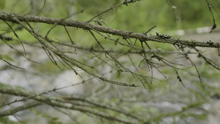 Similar image 22370721