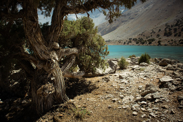 Similar image 22351400