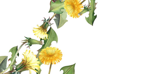 Similar image 22374193