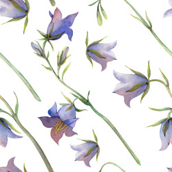 Similar image 22359298