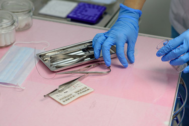 Similar image 22354815