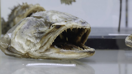 Similar image 22371258