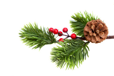 Similar image 22353647